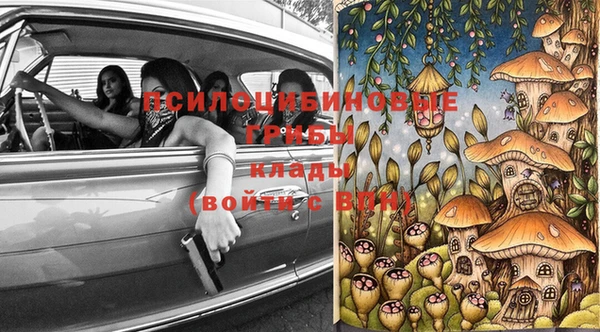 МДПВ Белокуриха