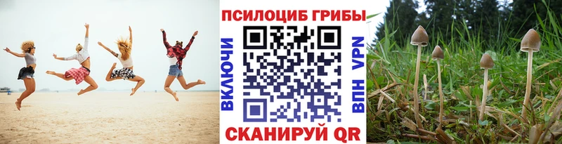 Галлюциногенные грибы ЛСД Невель